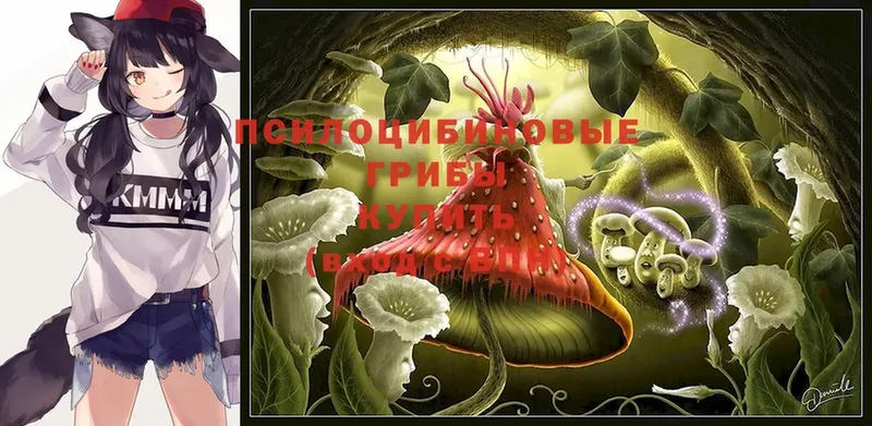 Галлюциногенные грибы Psilocybine cubensis  Октябрьский 